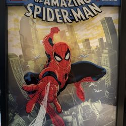 Spider Man Picture And Frame