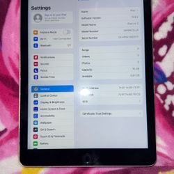 IPad Air 2 (16gb Unlocked) 💖📱 No Passcode/No lock