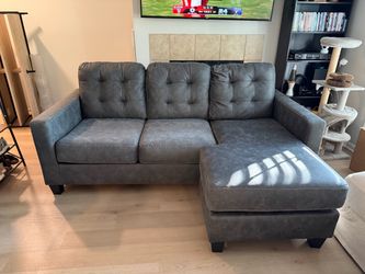 Gray Sectional Sofa with Chaise