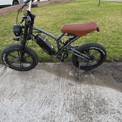 Custom Ebike