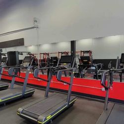 Professional Gym Mirrors – High Quality (Multiple Sizes Available)