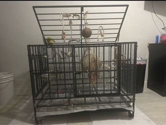 Bird cage