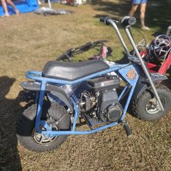 Baja Doodle Bug Mini Bike (DB30)