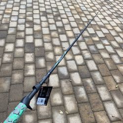 Berkley AMP Fishing Rod 