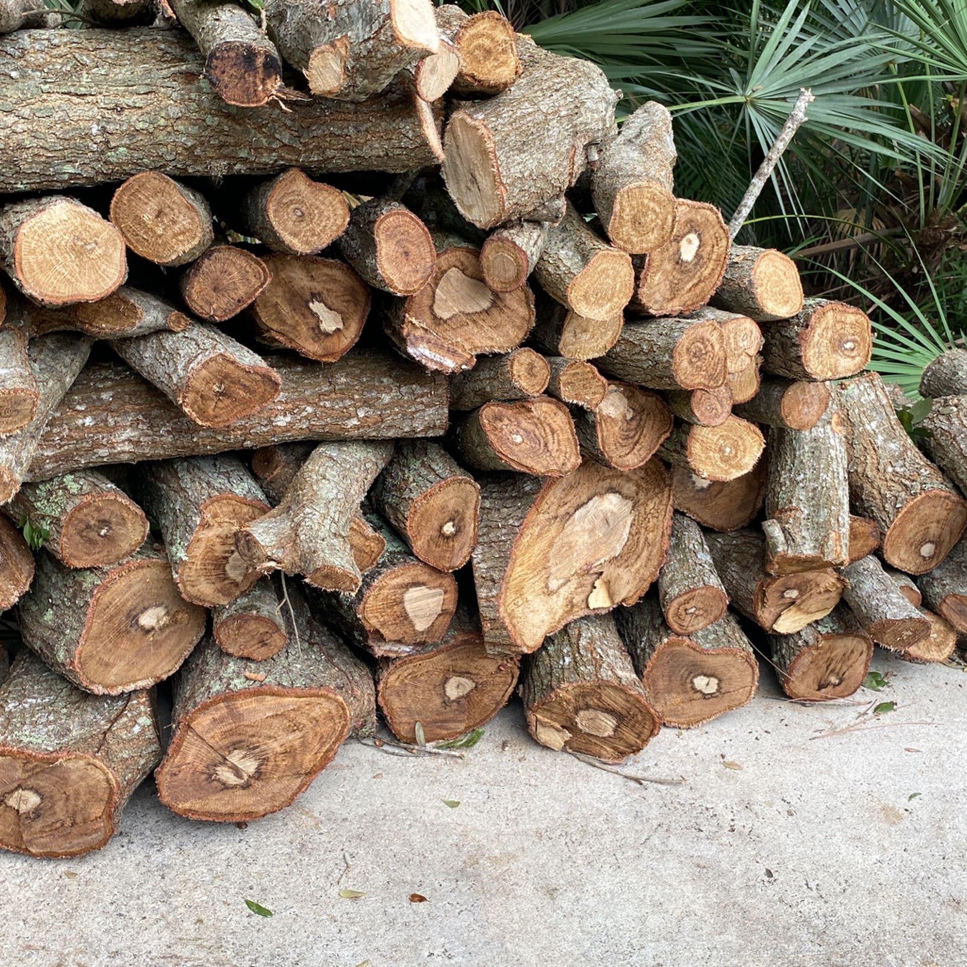 Firewood