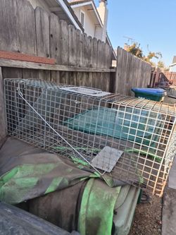 Cage