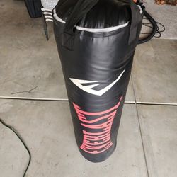 Everlast 100lb Punching Bag $100obo