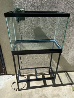 20 Gallon Fish Tank, Stand & Filter
