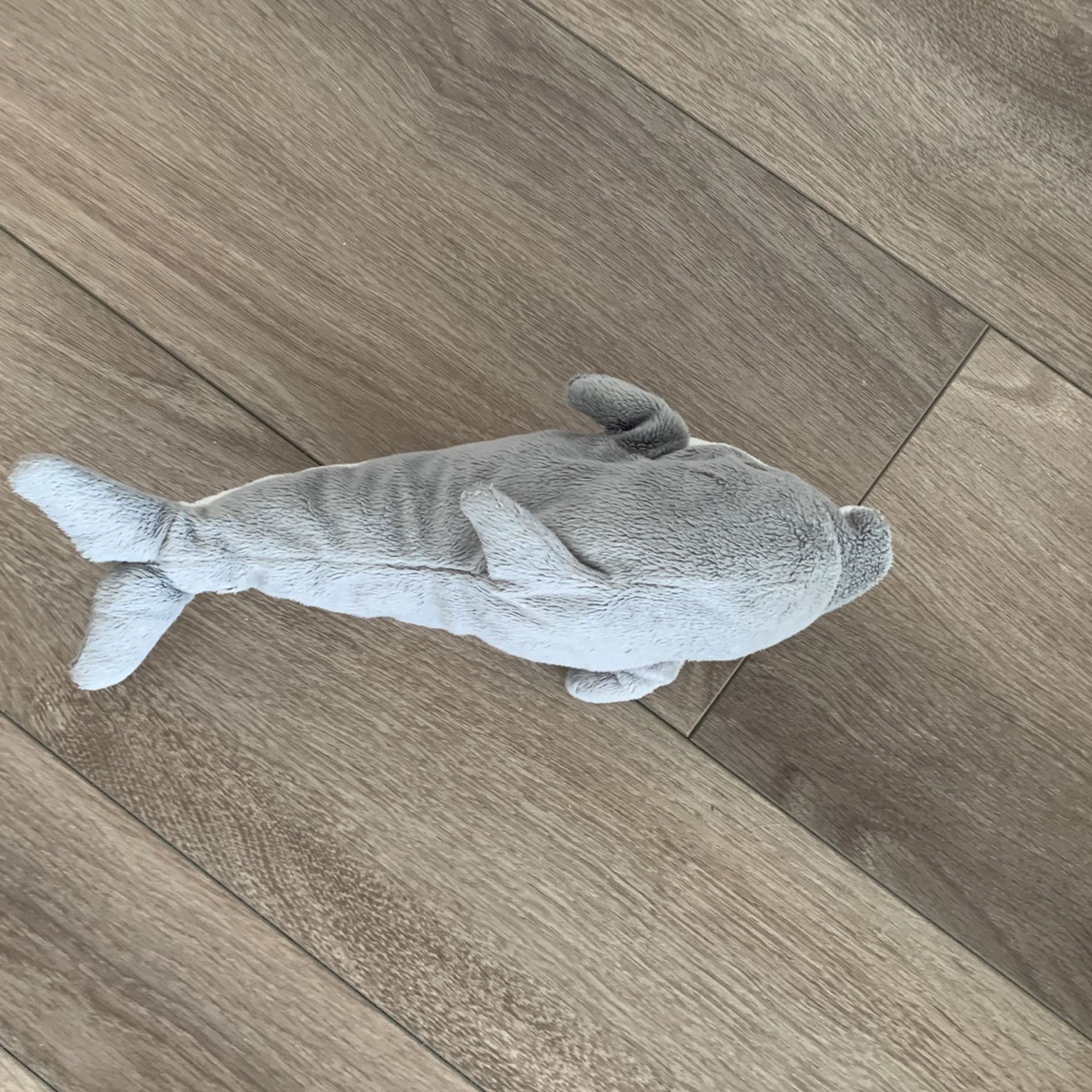 Dolphin Plushie