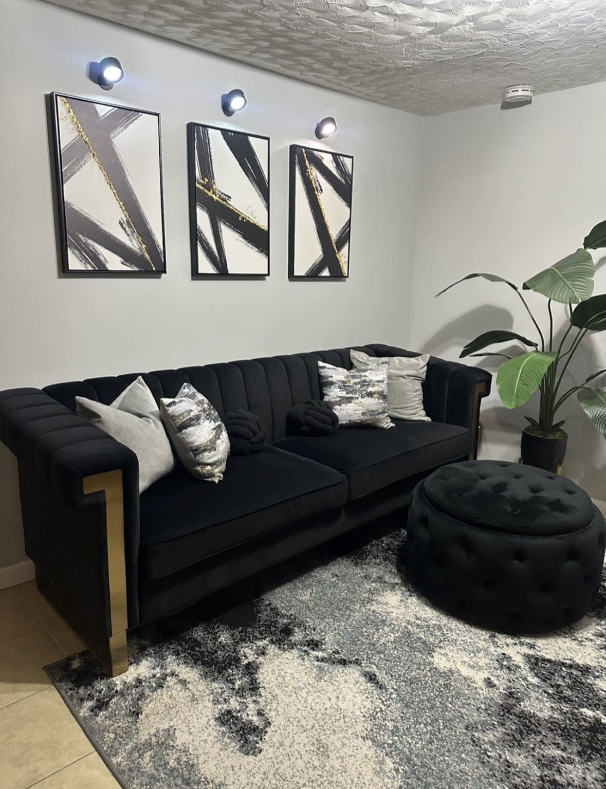 Black Velvet couch with Gold Accents