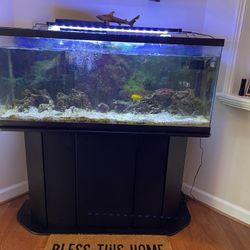 Aquarium Stand - 50 Gallon