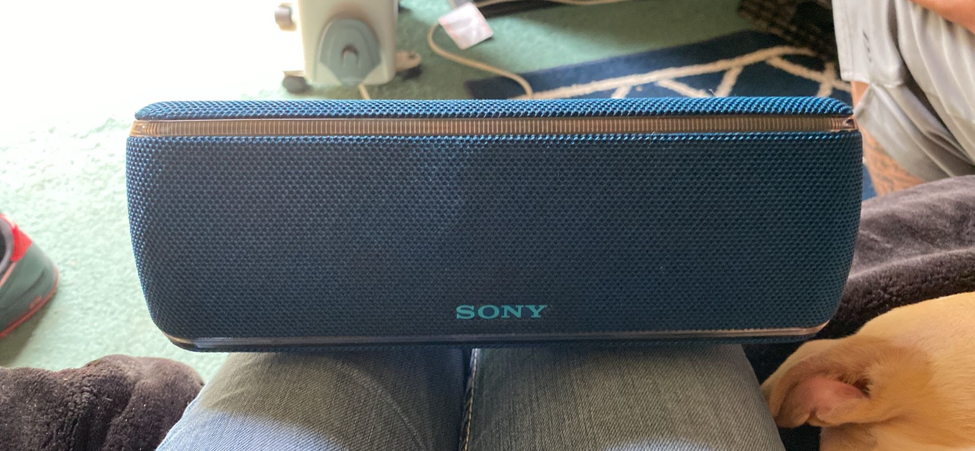 Sony Bluetooth Speaker 