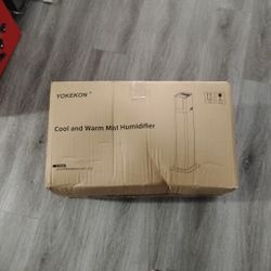 Cool And Warm Mist Humidifier 
