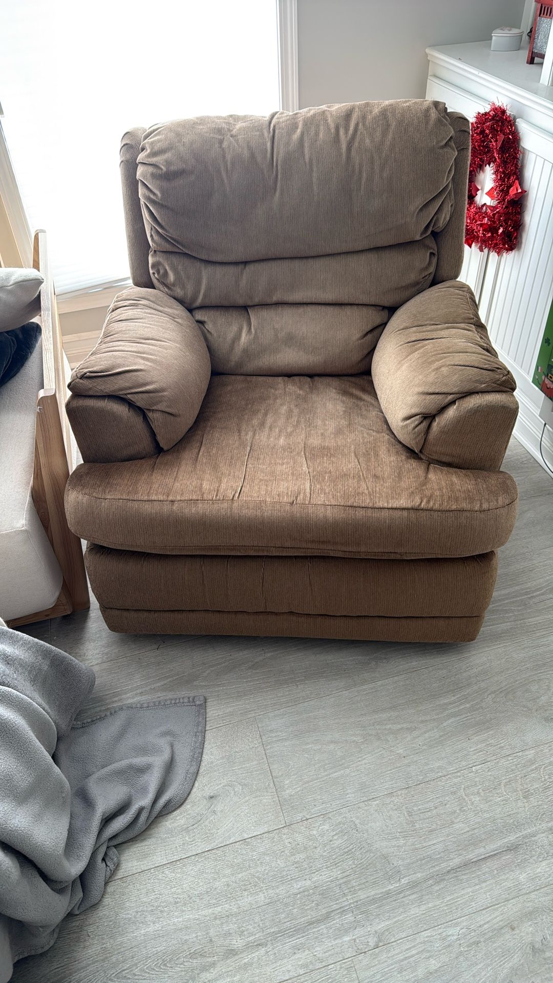 Plush Recliner