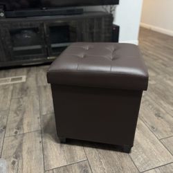 Ottoman Chair/ Storage