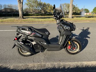 2024 Carbon Armor Farruco Maxuma