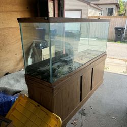 150 Gallon Tank 