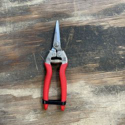 S-44 Curved Shears 