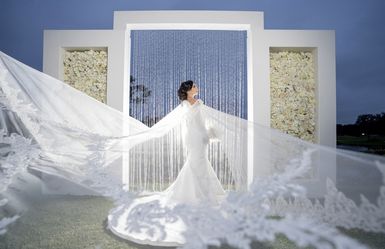 Wedding Veil