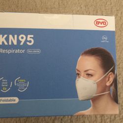 KN95 Masks