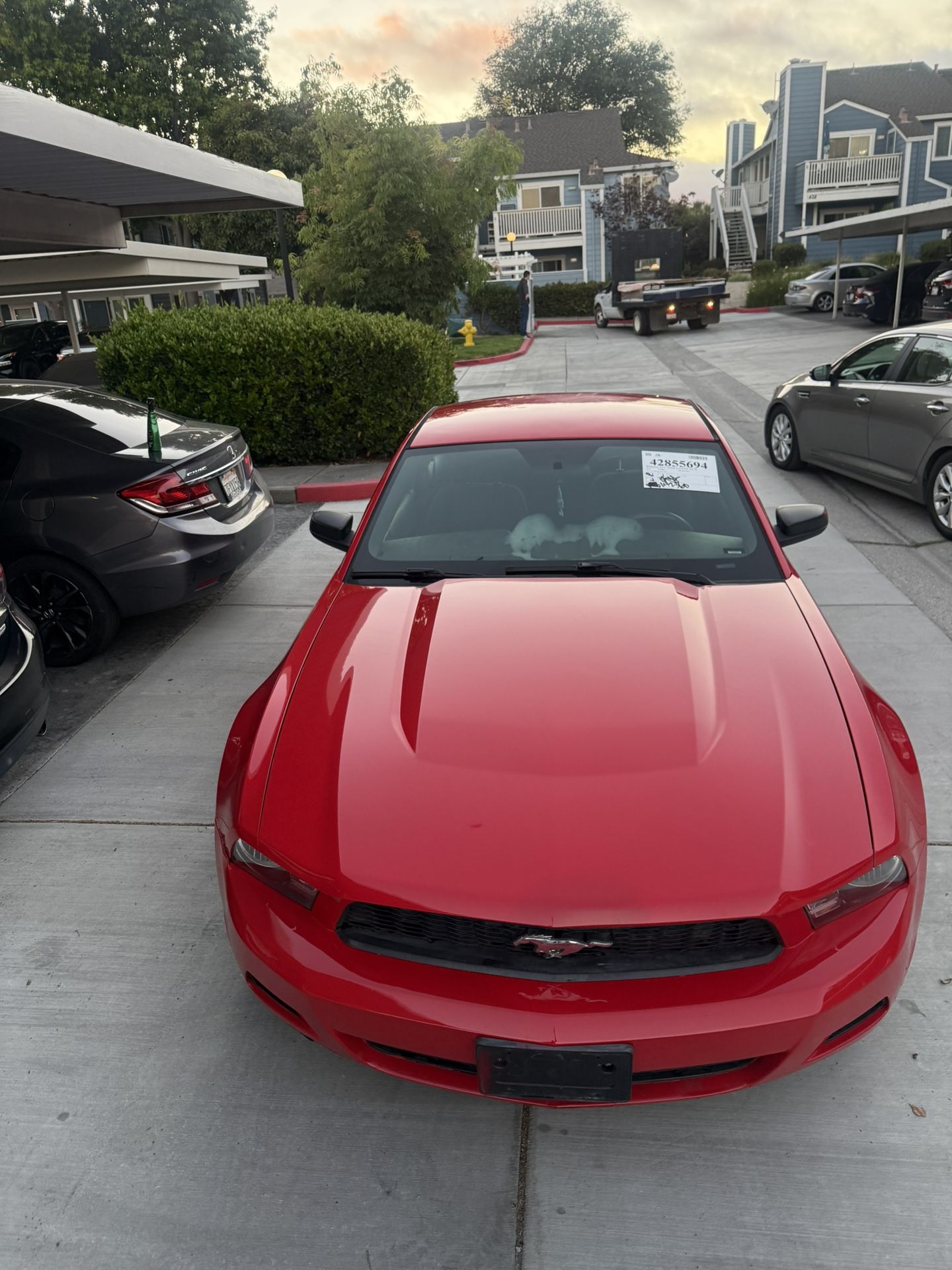 2010 Ford Mustang