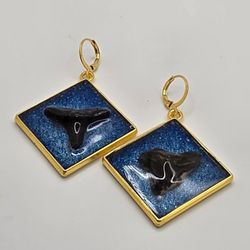 Golden Framed Shark Teeth Earrings 