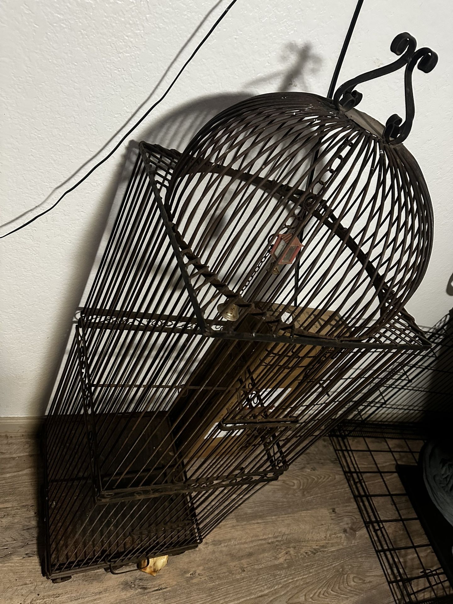 Steel Bird Cage