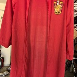 Halloween costume-Harry Potter