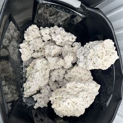 salt water tank rocks 