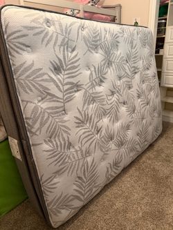 Sealy Posturepedic Queen Mattress Carver 13.5” Plush