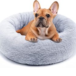 Pets Bed