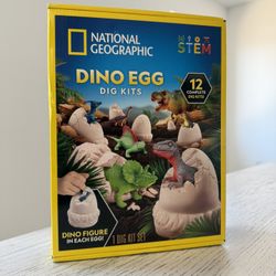 Dino Egg Dig Kits
