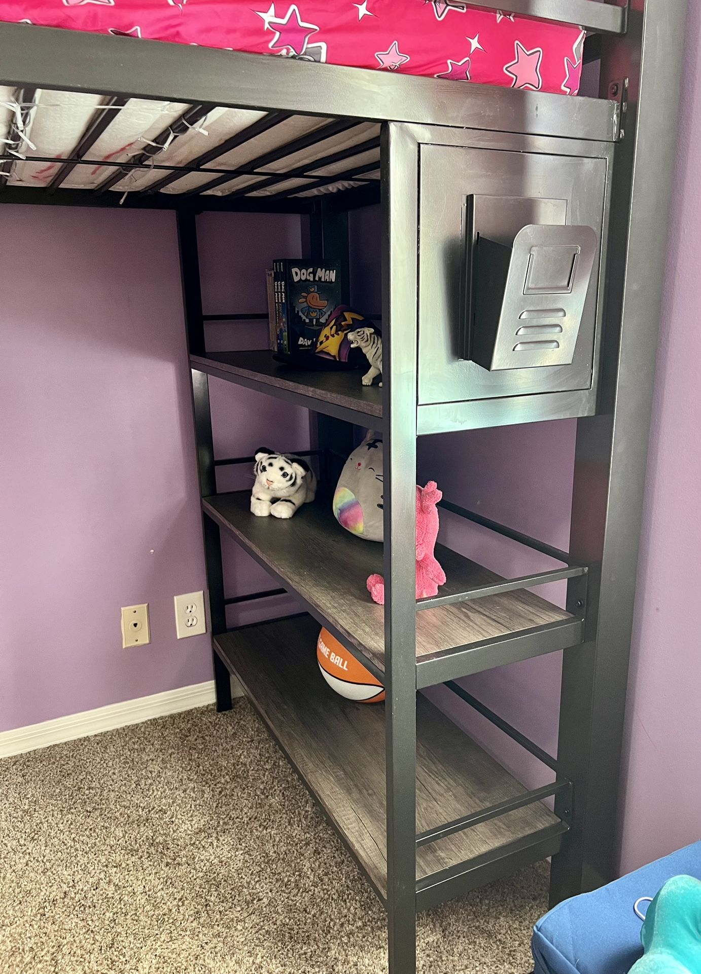 Twin Sized Loft Bed With Desk & Bookshelves