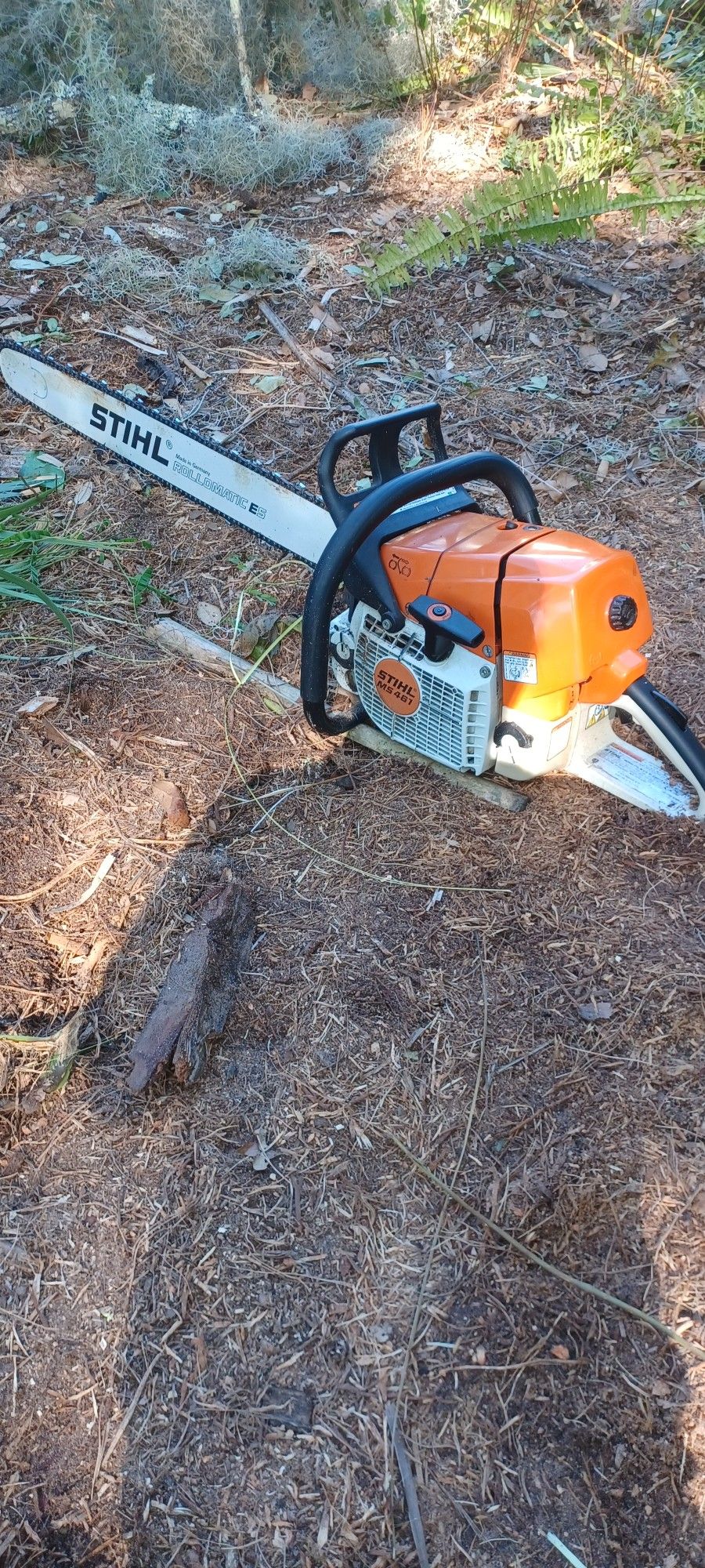 Triming Trees And Stump Grimding