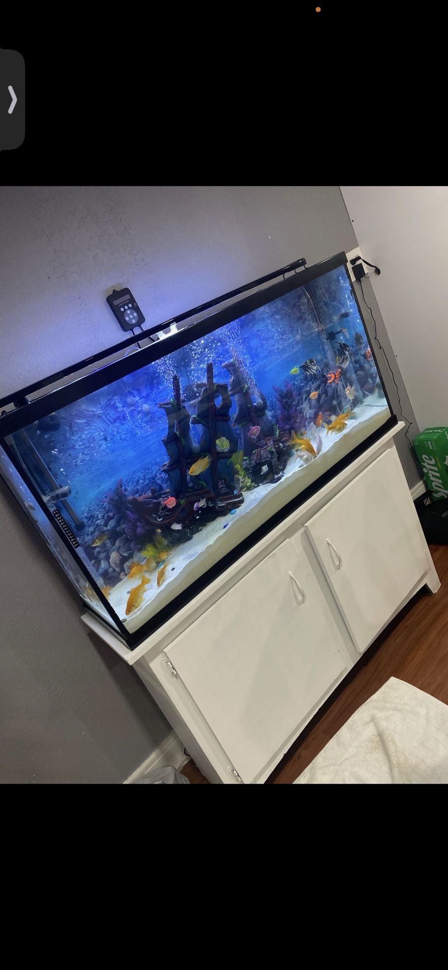 60 Gallon Fish tank