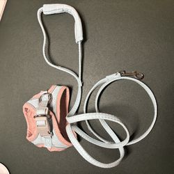 Chihuahua dog leash for small dogs