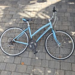 Fuji Bike
