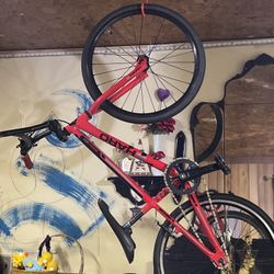 ANNEX MINI HARO Racing Bike 