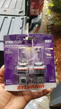 Sylvania Halogen down road