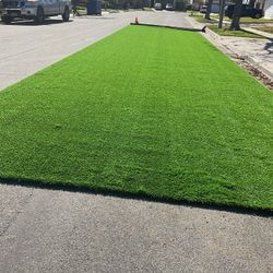 15x15 Roll Turf Grass