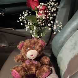 Valentine’s Day
