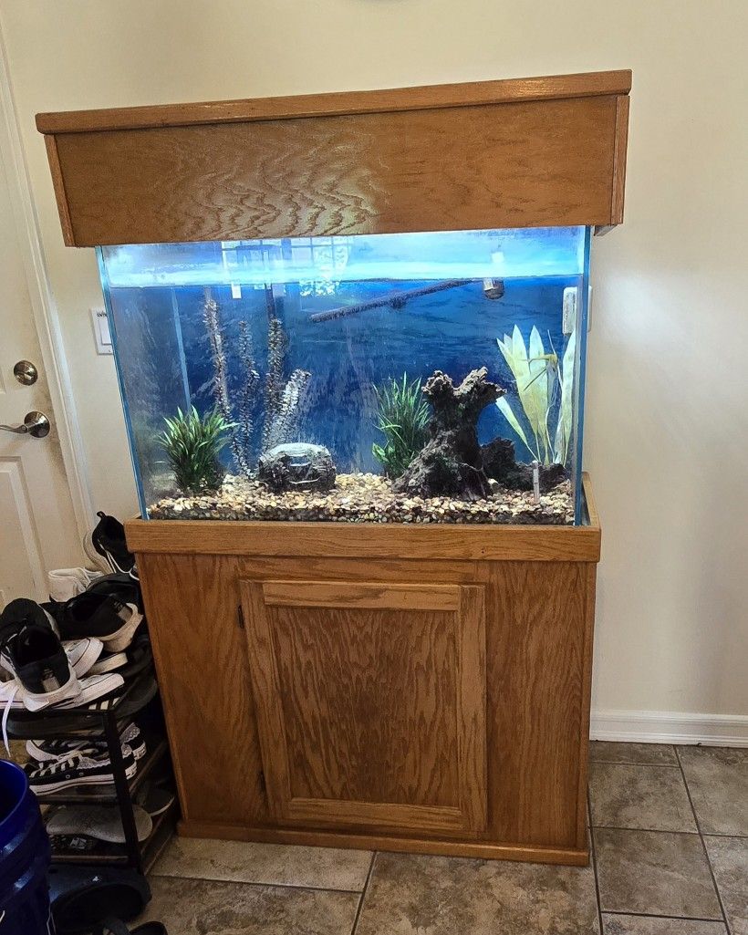 55 Gal Aquarium with Stand