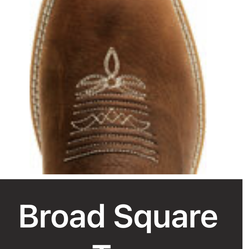 Looking for WOMANS SIZE 9 cowboy boots