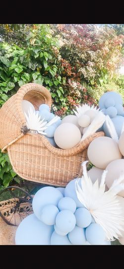 Babyshower Gender Reveal Photo Prop