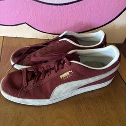 Puma Show
