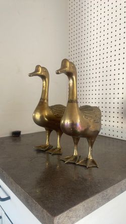 Brass Ducks