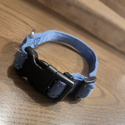 Pet Smart Dog Collar 