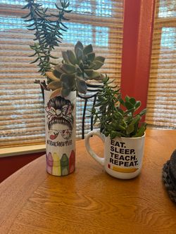 Teacher succulent arrangements