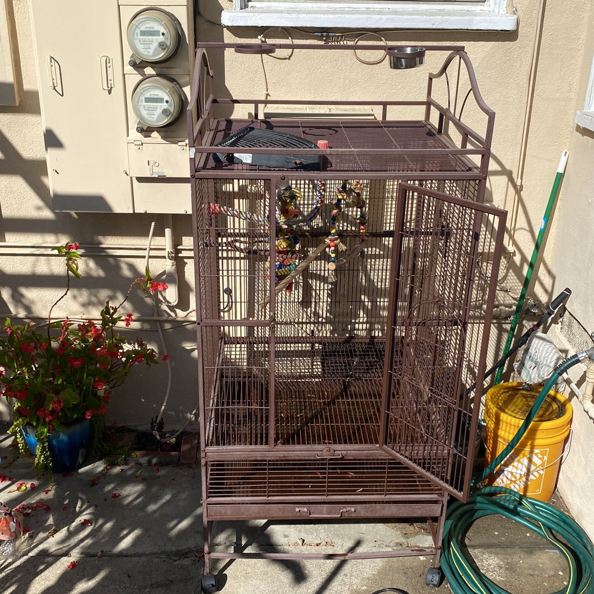 Parrot Cage