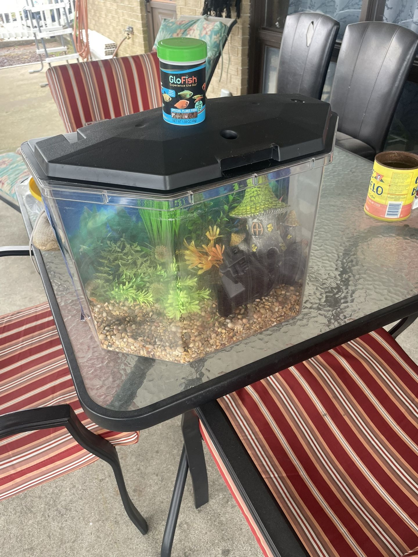Fish Tank (pesera)